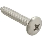 Screw, Sm/Th/Ss 100 for AllPoints Part# 6120816