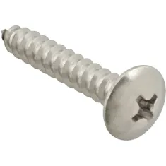 Screw, Sm/Th/Ss 100 for AllPoints Part# 6120816
