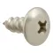 Screw, Sm/Th/Ss 100 for AllPoints Part# 6121008