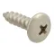 Screw, Sm/Th/Ss 100 for AllPoints Part# 6121012