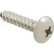 Screw, Sm/Th/Ss 100 for AllPoints Part# 6121016