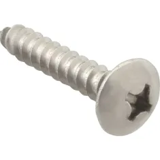 Screw, Sm/Th/Ss (100)  for AllPoints Part# 6121220