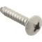 Screw, Sm/Th/Ss (100)  for AllPoints Part# 6121220