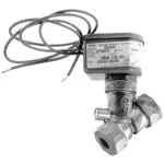 Steam Solenoid Valve for Blickman Part# 61220