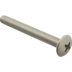 Screw, Mach/Th/Ss (100)  for AllPoints Part# 6220824