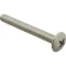 Screw, Mach/Th/Ss (100)  for AllPoints Part# 6220824