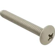 Screw, Mach/Th/Ss (100)  for AllPoints Part# 6221024