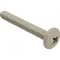 Screw, Mach/Th/Ss (100)  for AllPoints Part# 6221024