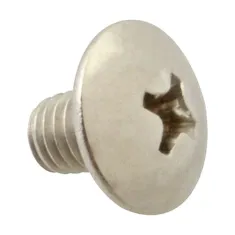 Screw, Mach/Th/Ss (100)  for AllPoints Part# 6221104