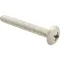Screw, Mach/Th/Ss (100)  for AllPoints Part# 6221432