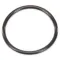 O Ring Gasket  for Blickman Part# 6870