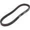 Goodyear 84200 Belt for AllPoints Part# 8009706