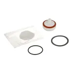 Repair Kit, 3/4"  Vacuum Breaker for AllPoints Part# 8024951