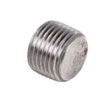 Pipe 1/2Npt Bm Plug For Frymaster Part# 8130463