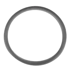 O-ring - Pump (5/pkg) for Frymaster Part# 8160012