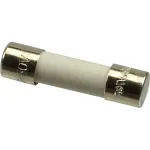 Fuse (8 Amp, Ceramic) for Manitowoc Part# 9181