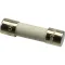 Fuse (8 Amp, Ceramic) for Manitowoc Part# 9181