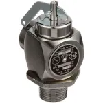 Valve,Safety Relief, 3/4",35Psi for Market Forge Part# 97-5045