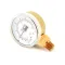 Pressure Gauge, Dual  for Groen Part# 99156