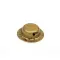 Cap Worm For Scotsman Part# A07701-000