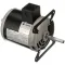 115V R/B 1219804 Motor  for Tri-Star Part# AS-1219804
