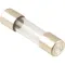 Fuse(5A) for Blodgett Part# BL61614
