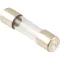 Fuse(2A) for Blodgett Part# BLO61613