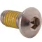 Screw (5/16-18Thd,Allen Head) for Randell Part# BSCS0-313-18X0-625SS