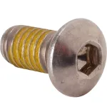 Screw (5/16-18Thd,Allen Head) for Randell Part# BSCS0.313-18X0.625SS