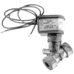 Steam Solenoid Valve for Blickman Part# CR166