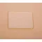Combi Light Glass for Alto Shaam Part# GL-26608
