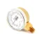 Pressure Gauge, Dual  for Groen Part# GR099156