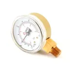 Pressure Gauge, Dual  for Groen Part# GR99156