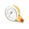 Pressure Gauge, Dual  for Groen Part# GR99156