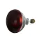 Infra-Red Lamp (Red) 120V, 250W for Hatco Part# HT02-30-068-00