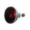 Infra-Red Lamp (Red) 120V, 250W for Hatco Part# HT2-30-068