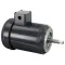 Motor - 2Hp For Stero Part# P411341