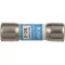 Fuse for Blodgett Part# R0032