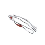 Drain Heater for Maxx Cold Part# R853A-020