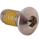 Screw (5/16-18Thd,Allen Head) for Randell Part# RANBSCS0-313-18X0-625SS