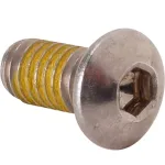 Screw (5/16-18Thd,Allen Head) for Randell Part# RANBSCS0.313-18X0.625SS