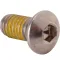 Screw (5/16-18Thd,Allen Head) for Randell Part# RANBSCS0.313-18X0.625SS