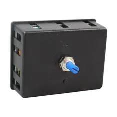 Thermostat - Solid State for Rankin Delux Part# RD100-08