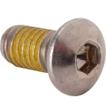 Screw (5/16-18Thd,Allen Head) for Randell Part# RDBSCS0-313-18X0-625SS