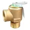 Steam Safety Valve for Market Forge Part# S10-5320