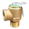 Steam Safety Valve for Market Forge Part# S10-7955