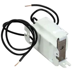 Ballast Light 115V  for Silver King Part# SVK99183