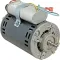 Motor for Taylor Part# TAF051481-12