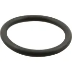 TS010389-45 T&S Brass - High-Quality Plunger O-Ring