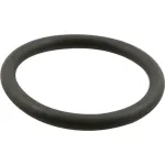 TS10389-45 T&S Brass - Durable Plunger O-ring Replacement